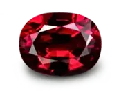 Great Health, Will Power, Fame & Reputation